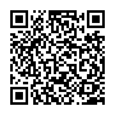 QR code for 491NUX