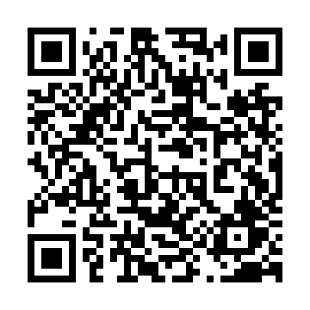 QR code for 491NZV