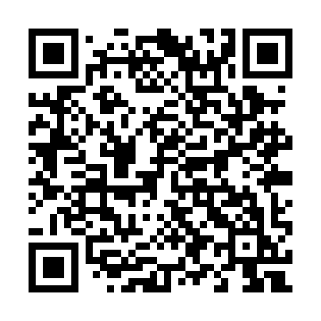QR code for 491PIK