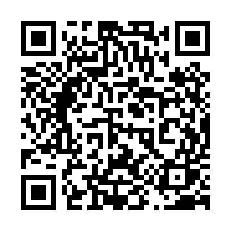 QR code for 491PUS