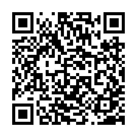 QR code for 493BXS