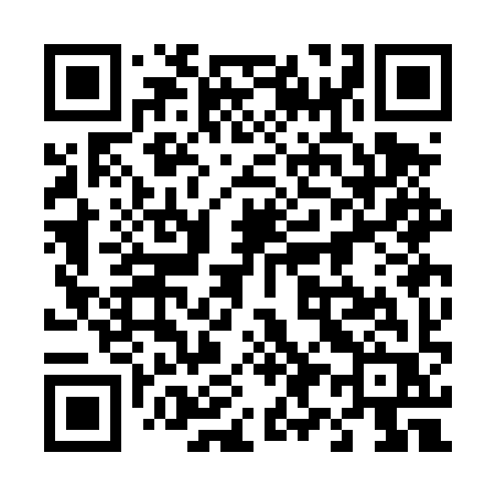 QR code for 493DYR