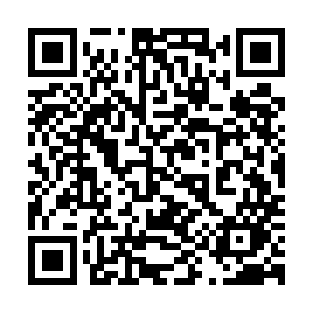 QR code for 493EMO