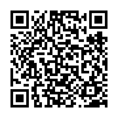 QR code for 493FCT