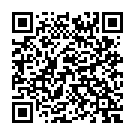QR code for 493FJG