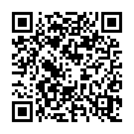 QR code for 493IUT