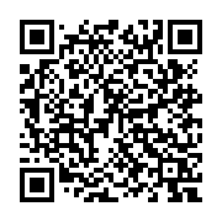 QR code for 493JNR
