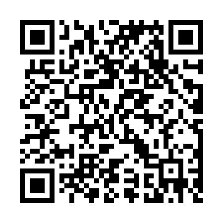 QR code for 493JZD