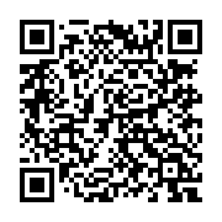 QR code for 493LDL