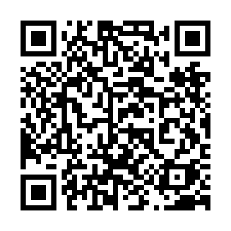 QR code for 493NCI
