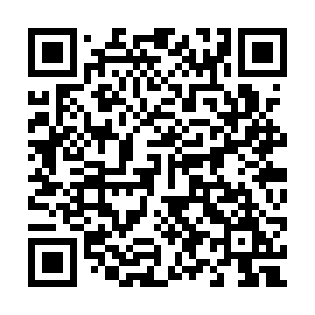 QR code for 493QRM