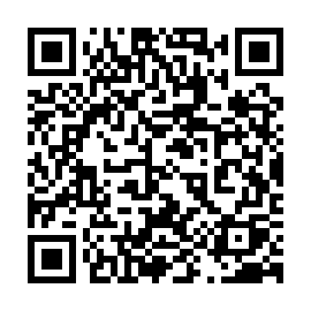 QR code for 493QWQ