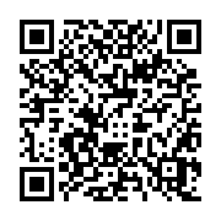 QR code for 493RLV
