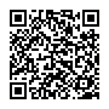 QR code for 493RSM