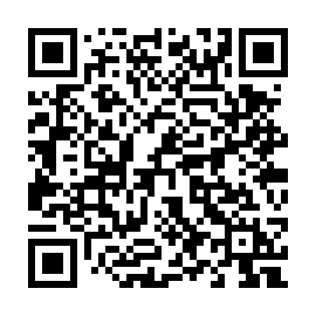 QR code for 493TSH