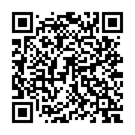 QR code for 493UUE
