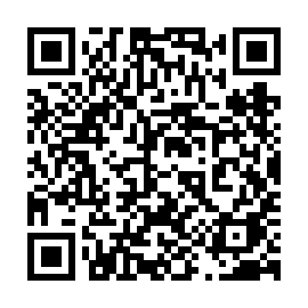 QR code for 493VIA