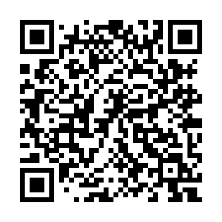 QR code for 493XIL