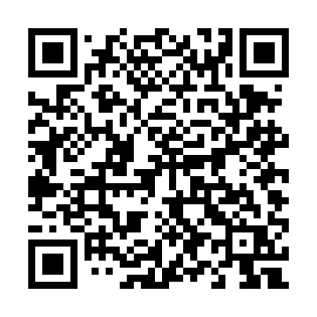 QR code for 494DAR