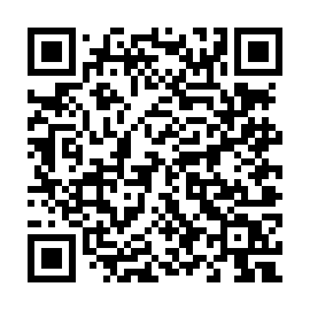QR code for 494LOT