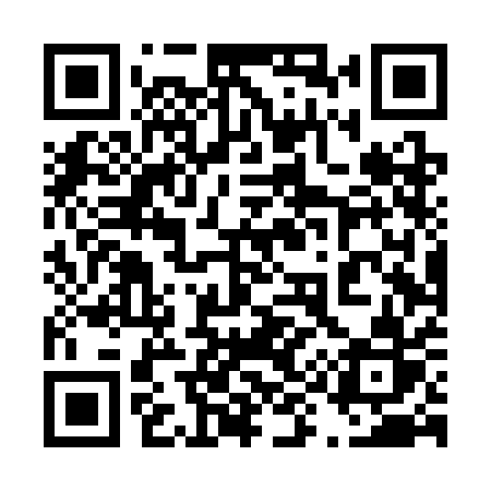 QR code for 494SAR