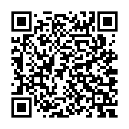 QR code for 494SMT
