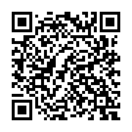 QR code for 495IBM