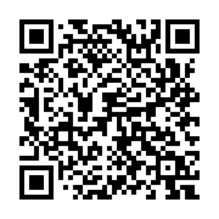QR code for 495IST
