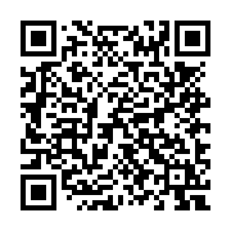 QR code for 495NYX