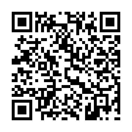 QR code for 495WSG