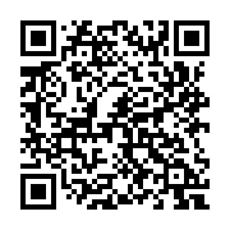 QR code for 499IQD