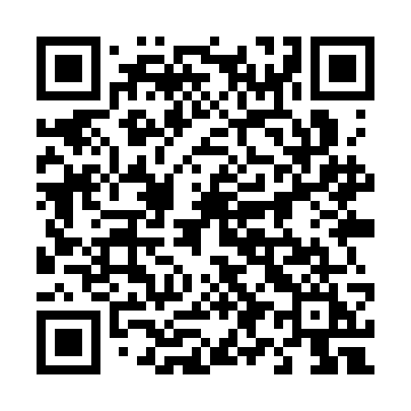 QR code for 499SGI