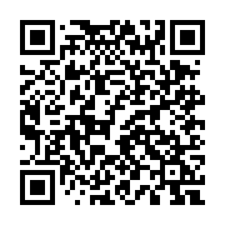 QR code for 500DOG