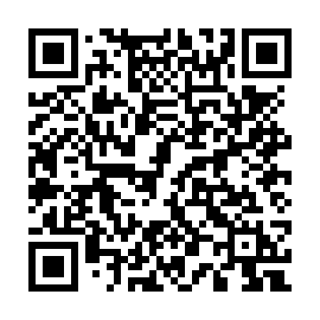 QR code for 500NSH