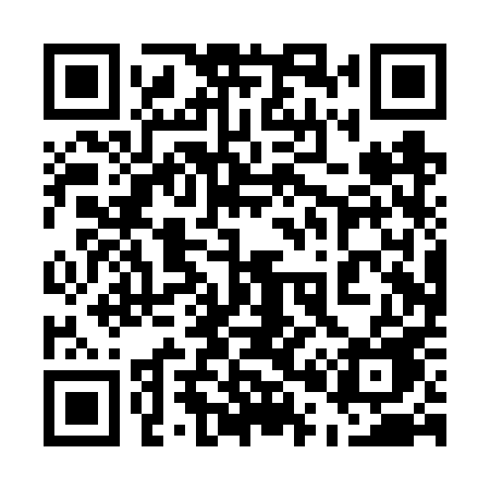 QR code for 500VPE