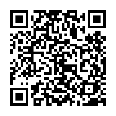 QR code for 501DOK