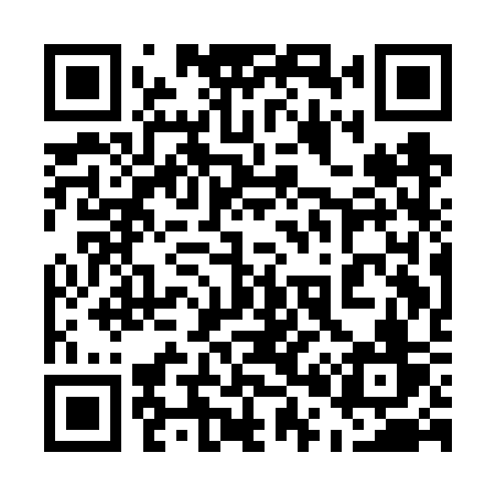 QR code for 501FSV