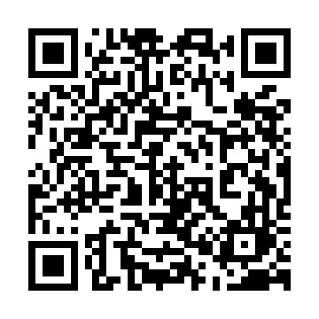 QR code for 501MFL