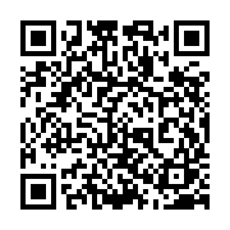 QR code for 509IIS