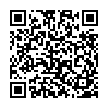 QR code for 509JIS