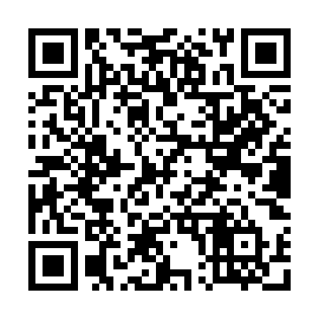 QR code for 509SOT