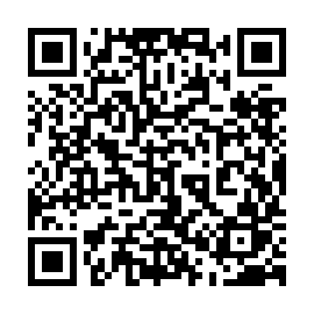 QR code for 509ZIR