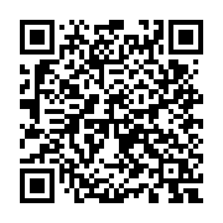 QR code for 510FUR
