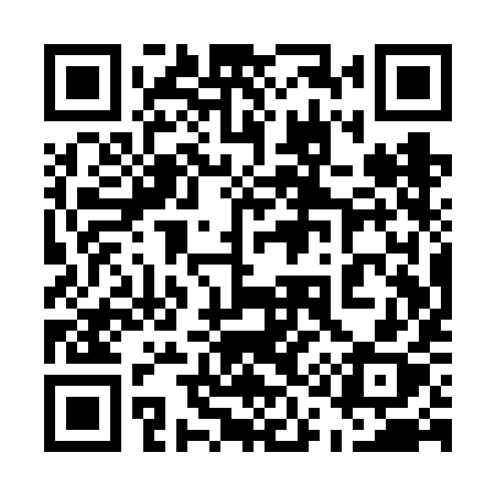 QR code for 511VIX