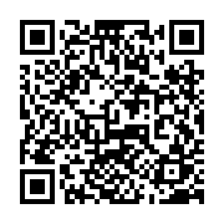 QR code for 513CAR