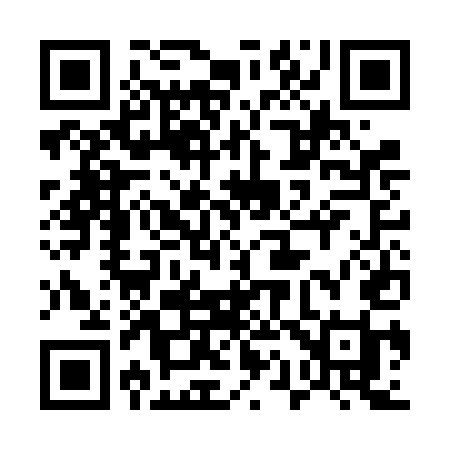 QR code for 513FEI