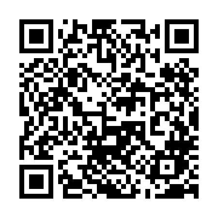 QR code for 513PLN