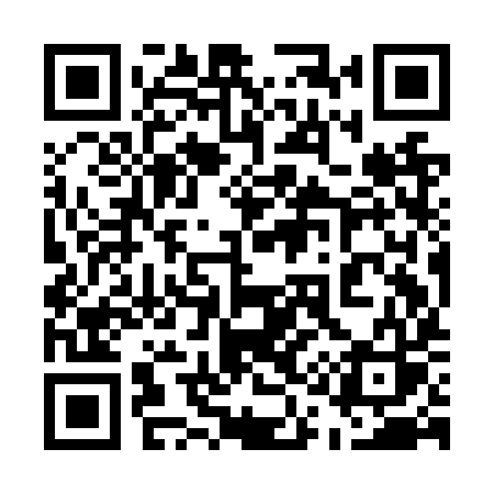 QR code for 519NYS
