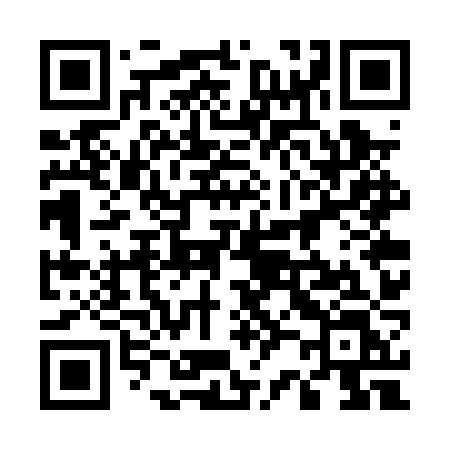 QR code for 527PZL