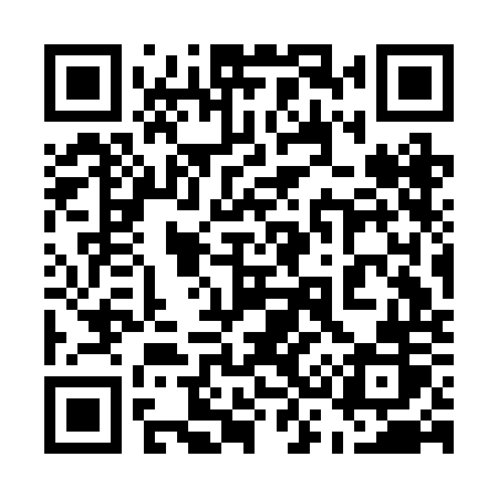 QR code for 533BOR